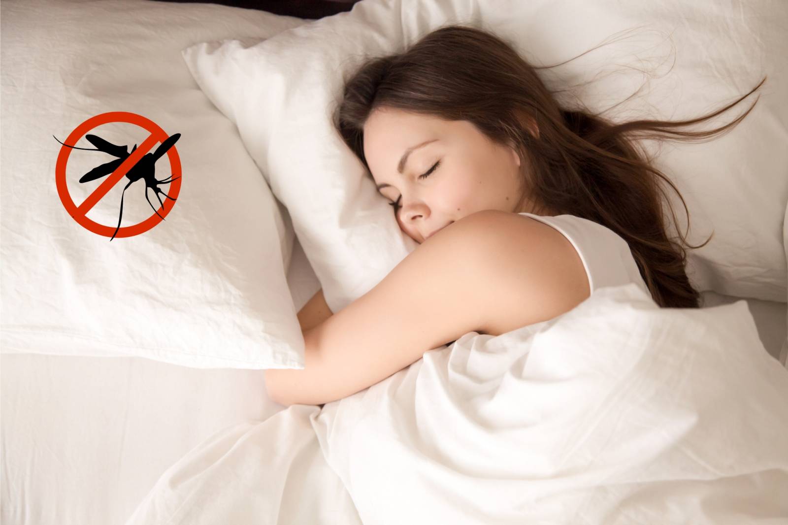 Dormir sans moustiques dans ma chambre