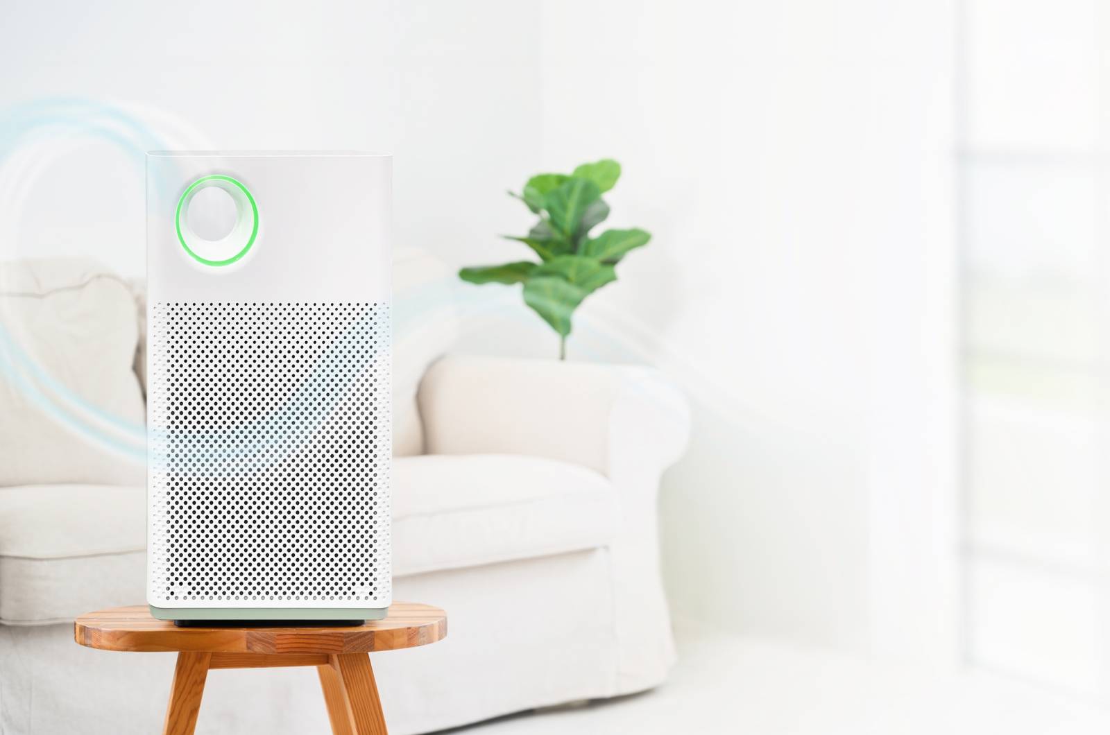 Solutions pour purifier l'air sur Zennao.fr