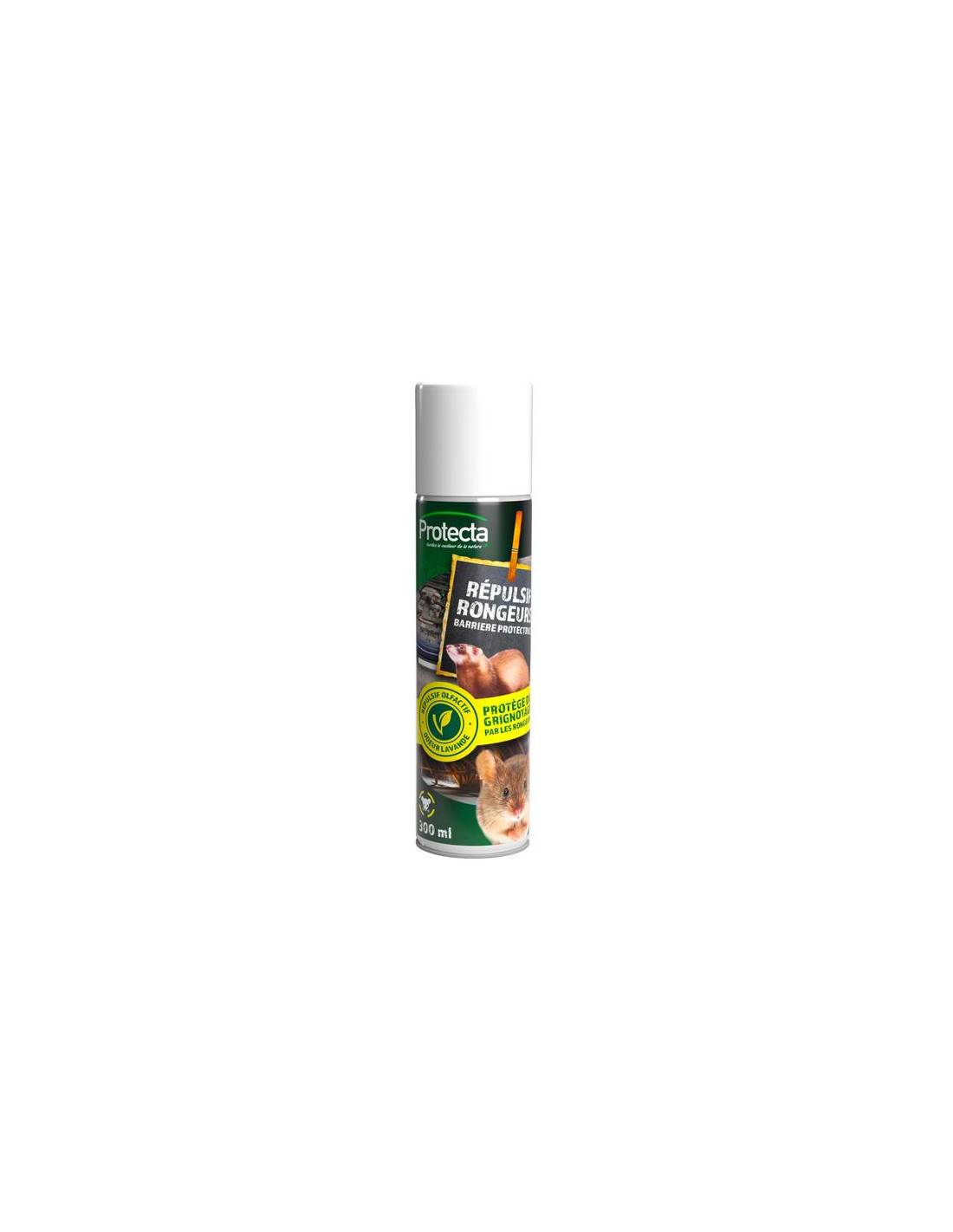 Répulsifs naturel pour éloigner les rongeurs dans ma cave à Paris et ses environs.
